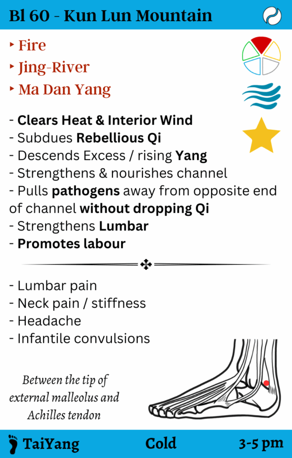 Acupuncture Flashcards (2nd edition) - Image 4